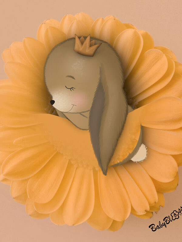 Bunny Prince Orange Flower